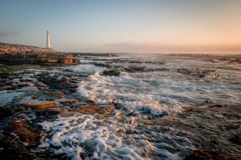 commercial signal discovery briefing