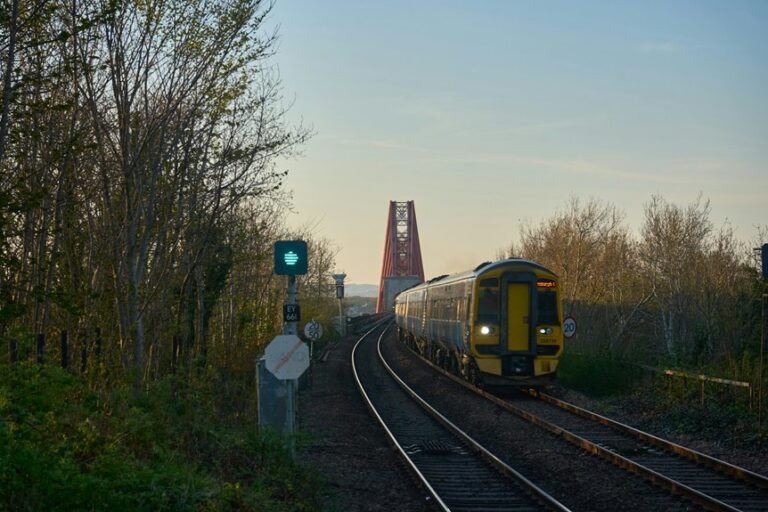 signal continuity report summary